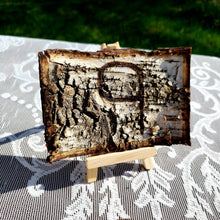Load image into Gallery viewer, Birch table numbers - Wedding table numbers white birch bark - Wood table numbers for event